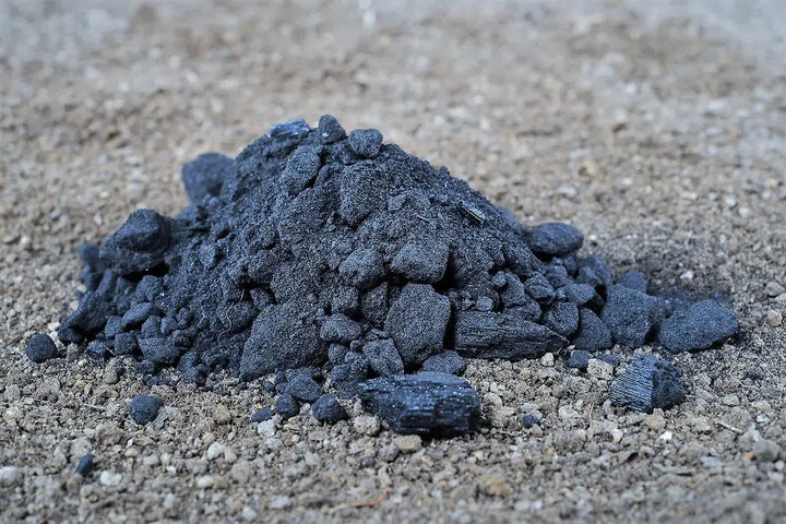 Biochar, charbon végétal poreux pour revitaliser les sols calcaires du jardin écologique