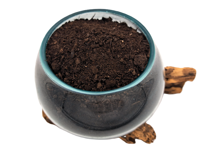 L’Or Noir de Provence : le compost humique enrichi pour un sol vraiment vivant
