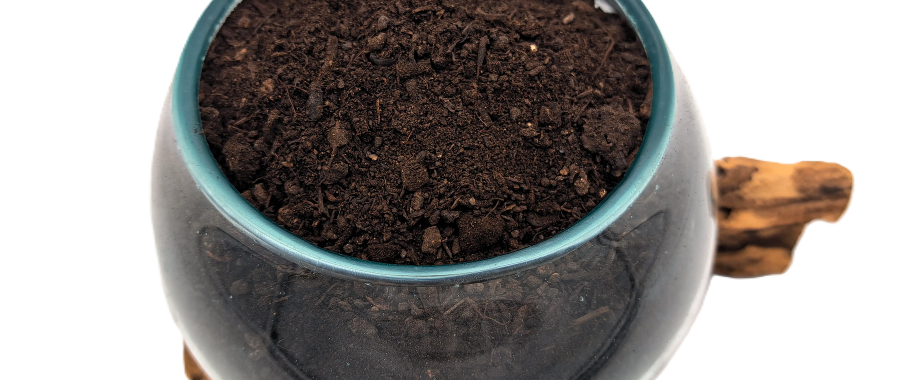 L’Or Noir de Provence : le compost humique enrichi pour un sol vraiment vivant