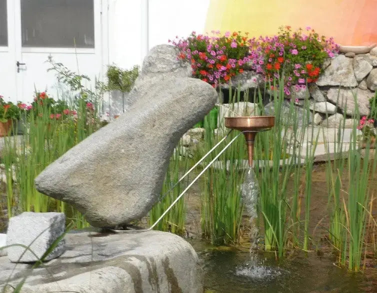 La dynamisation de l'eau : pourquoi et comment l'appliquer au jardin Le Jardinier Français
