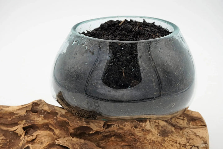 Sac de Life Mix sol vivant, amendement organique à base de compost et micro-organismes pour enrichir la terre du jardin