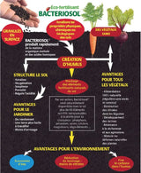 Engrais en granulés pour humus – Bacteriosol Le Jardinier Français