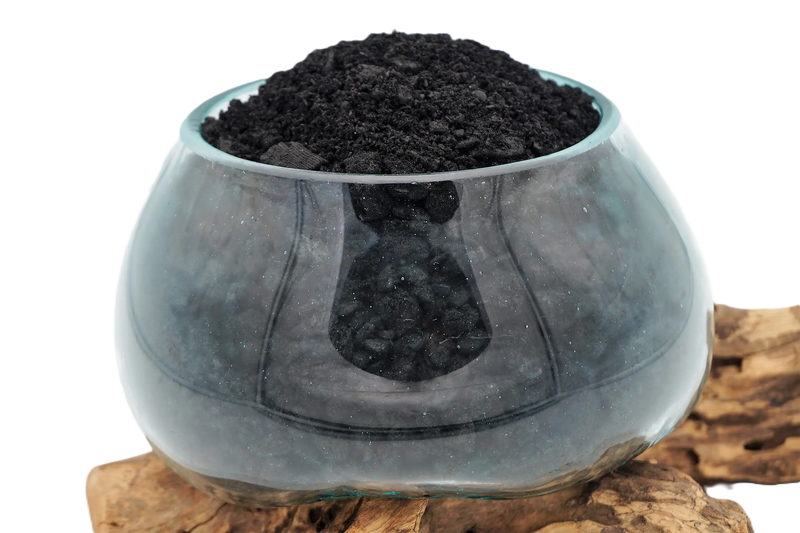 Biochar enrichi en micro-organismes bénéfiques