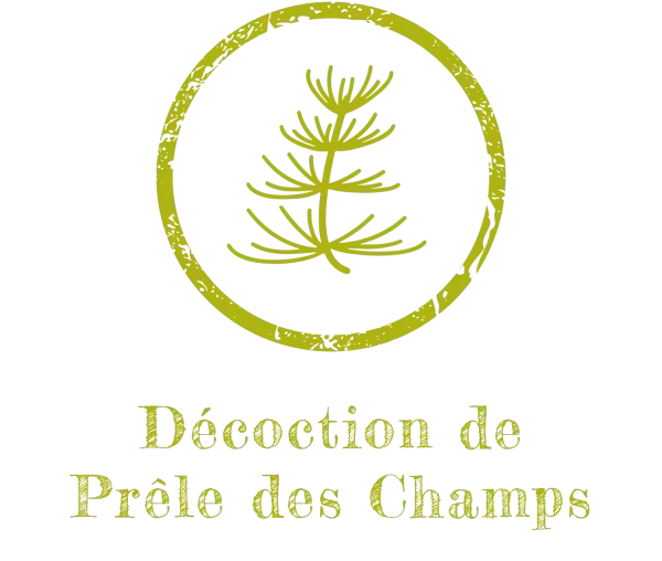 Décoction de prêle des champs Le Jardinier Français