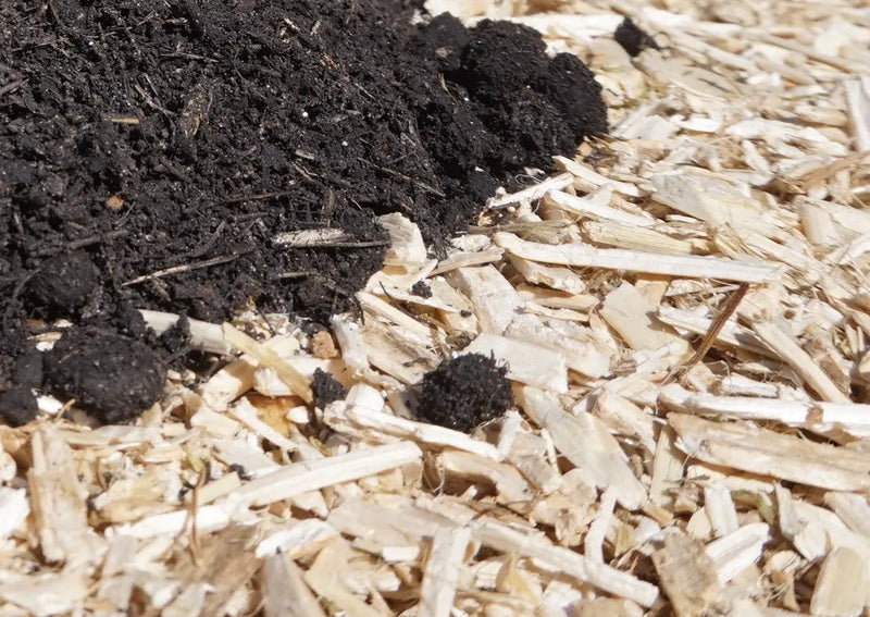Paillage de chanvre biologique Le Jardinier Français