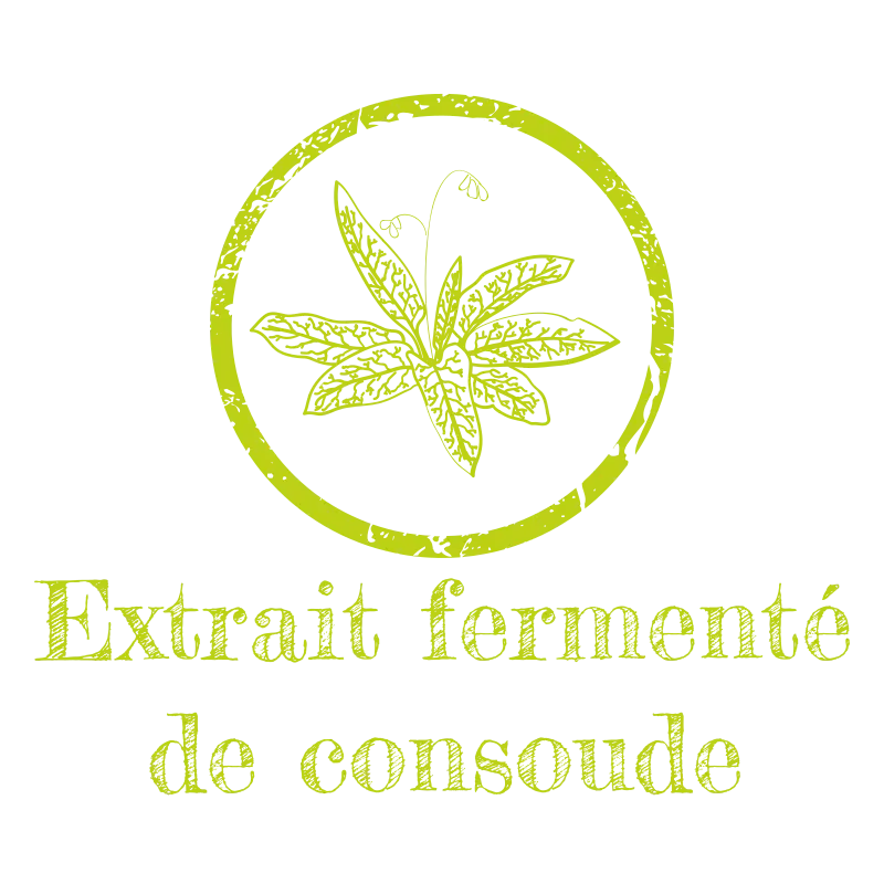 Amendement organique extrait fermenté 1.5L – Consoude Le Jardinier Français